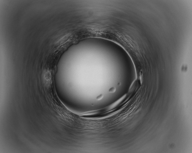 X0000098091347200804041210