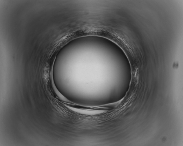 X0000098091348200804041210