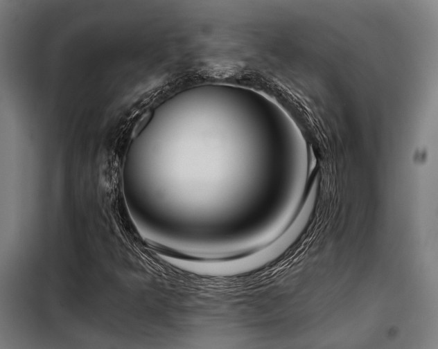 X0000098091349200804041210