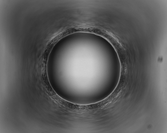 X0000098091350200804041210