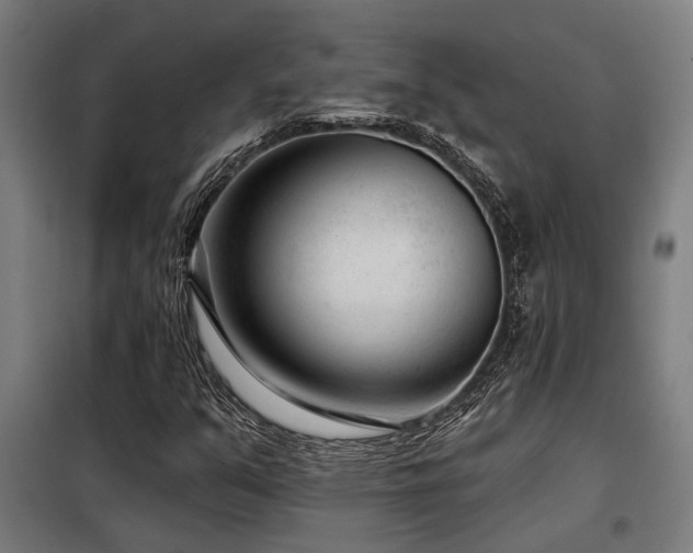 X0000098091351200804041210