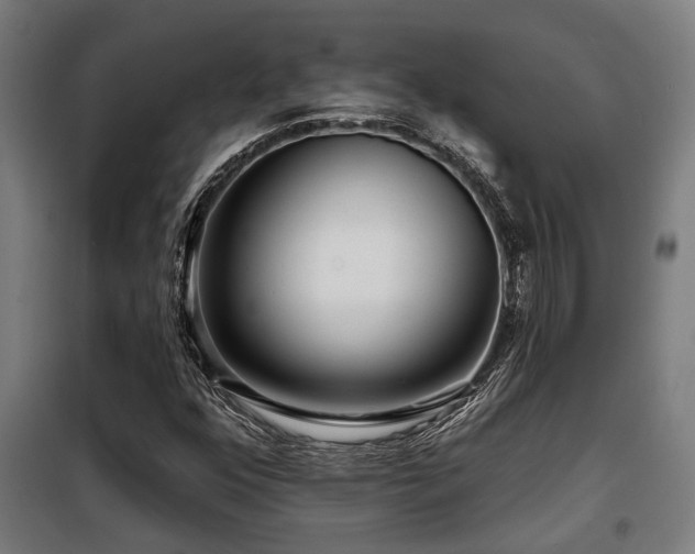 X0000098091352200804041210