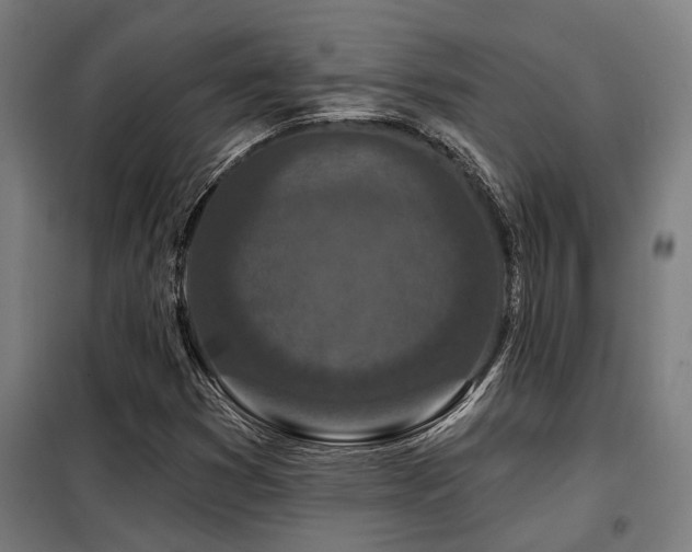 X0000098091353200804041210