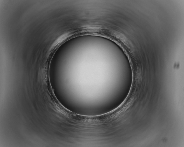 X0000098091354200804041210