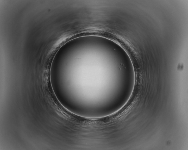 X0000098091355200804041210