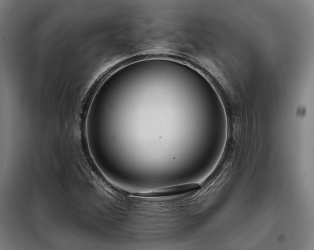 X0000098091356200804041210