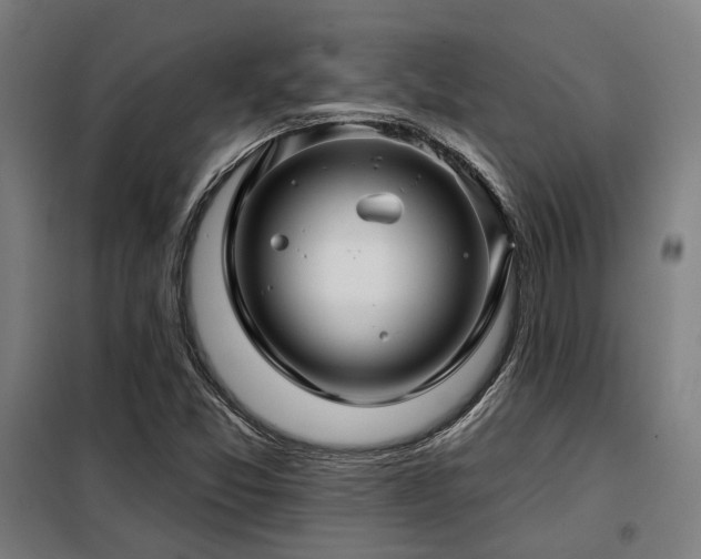 X0000098091357200804041210