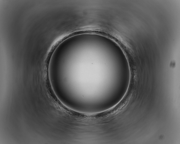 X0000098091358200804041210