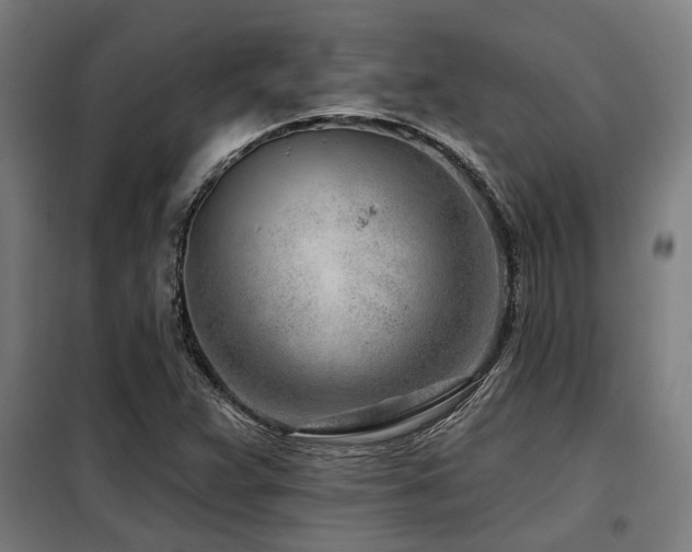 X0000098091359200804041210