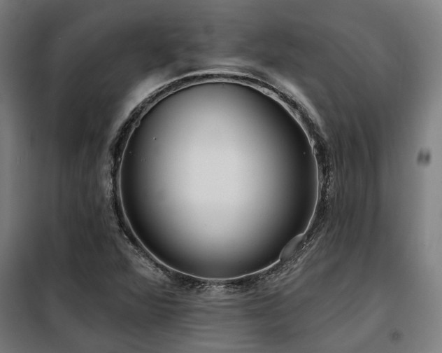 X0000098091360200804041210