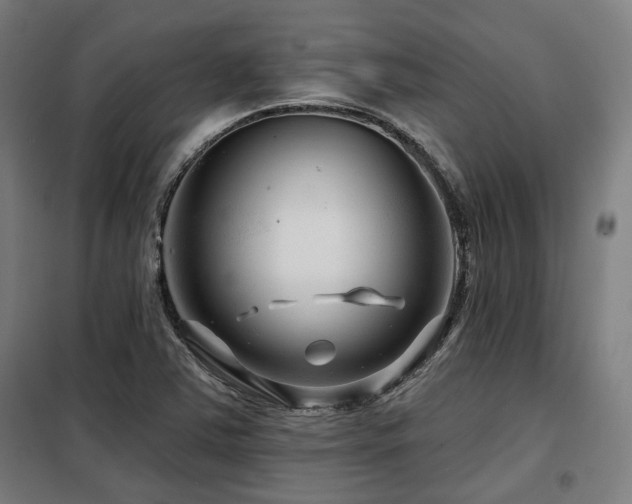 X0000098091363200804041210