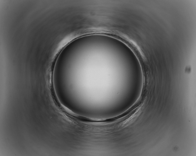 X0000098091365200804041210
