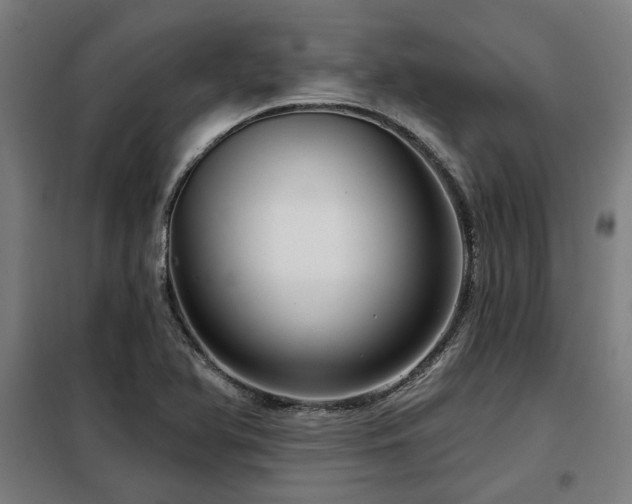 X0000098091366200804041210