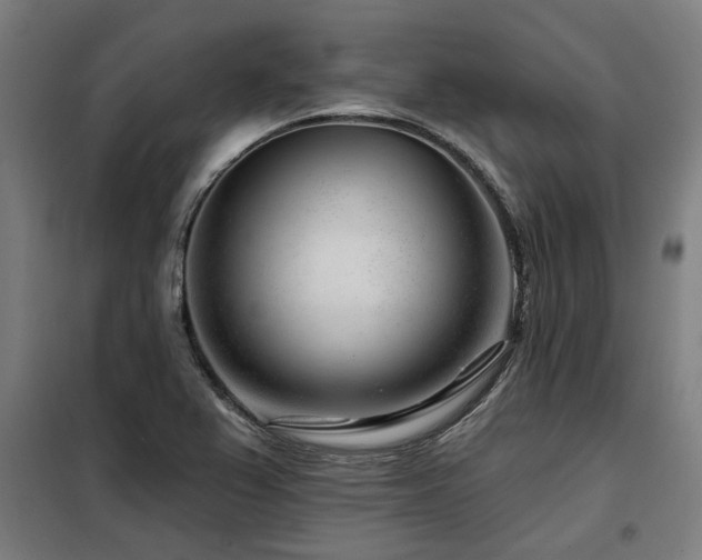 X0000098091367200804041210