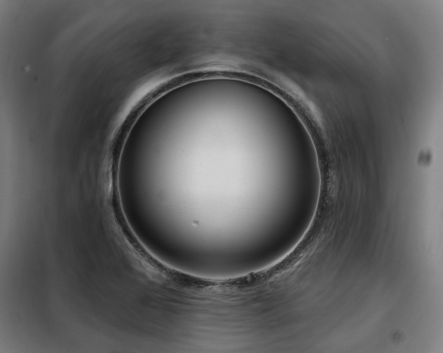 X0000098091368200804041210