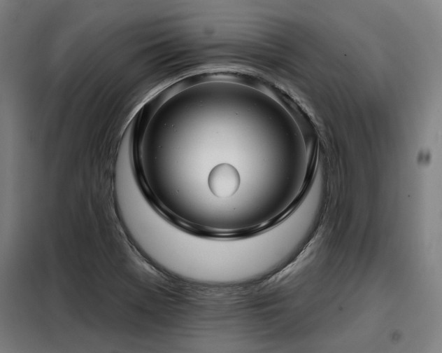 X0000098091369200804041210