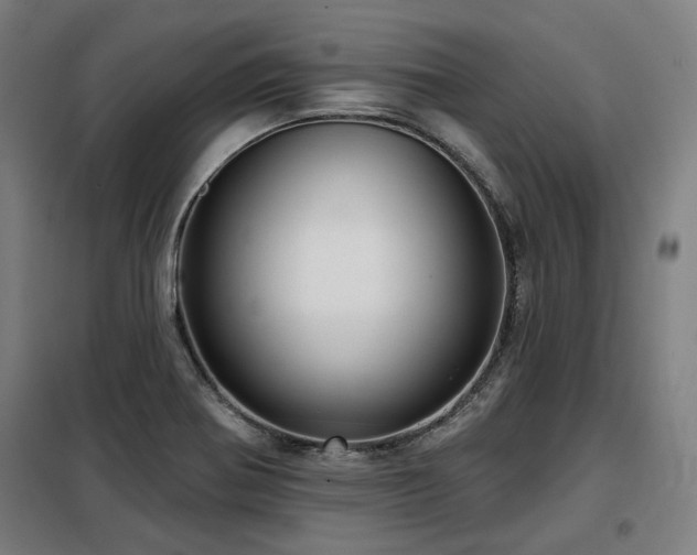 X0000098091370200804041210