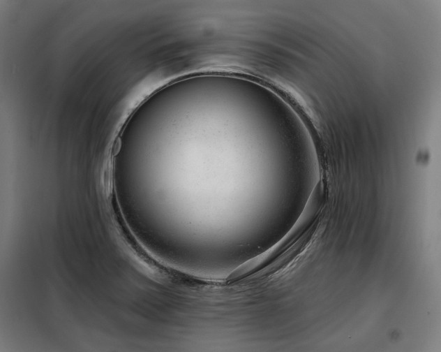 X0000098091371200804041210