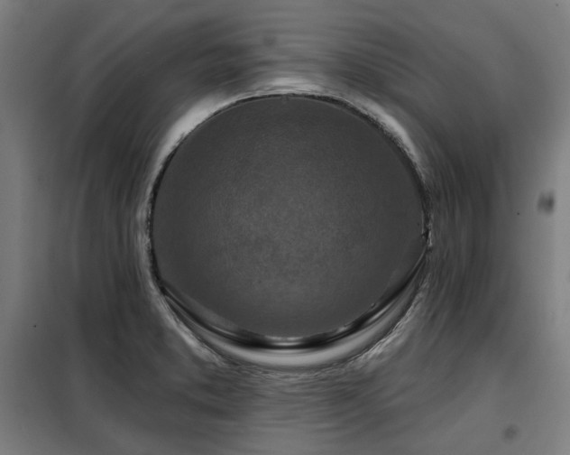 X0000098091373200804041210