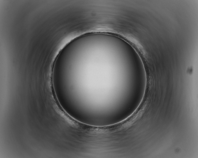 X0000098091374200804041210