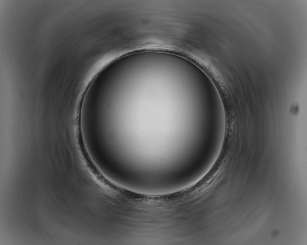 X0000098091375200804041210