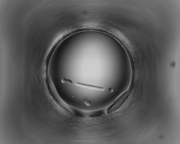 X0000098091376200804041210