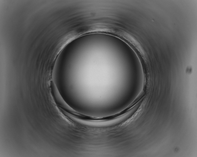 X0000098091377200804041210