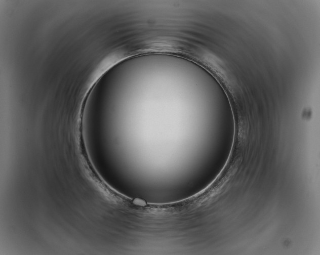 X0000098091378200804041210