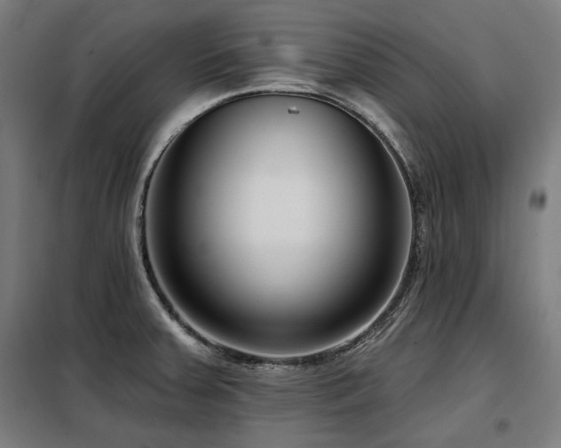 X0000098091379200804041210