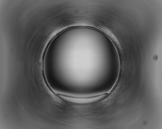 X0000098091380200804041210