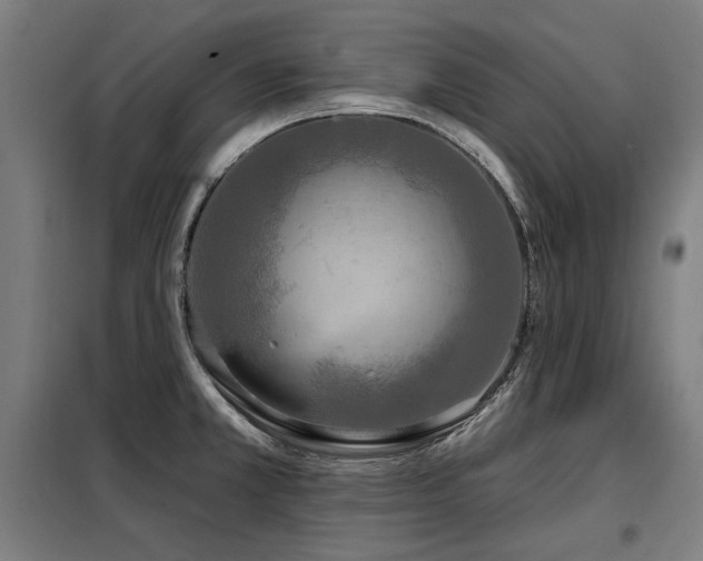 X0000098091381200804041210