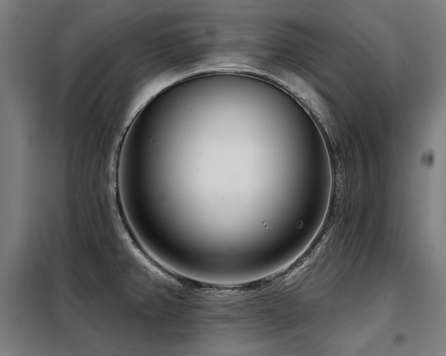 X0000098091382200804041210