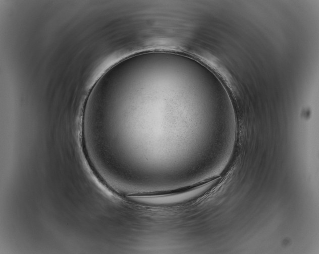 X0000098091383200804041210