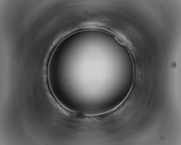X0000098091384200804041210
