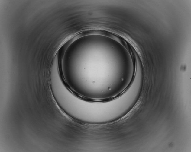 X0000098091385200804041210