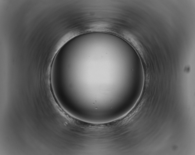 X0000098091386200804041210