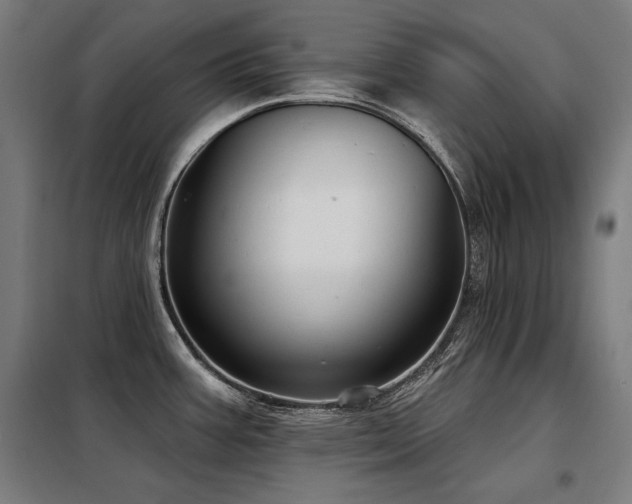 X0000098091387200804041210