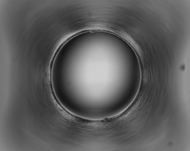 X0000098091388200804041210