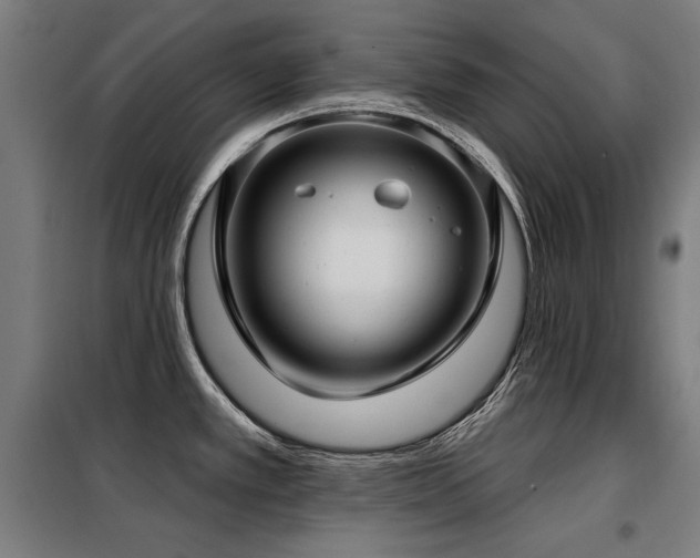 X0000098091389200804041210