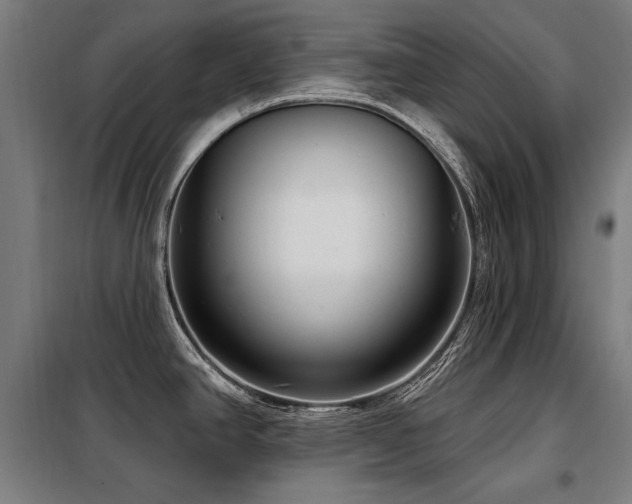 X0000098091390200804041210