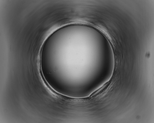 X0000098091391200804041210