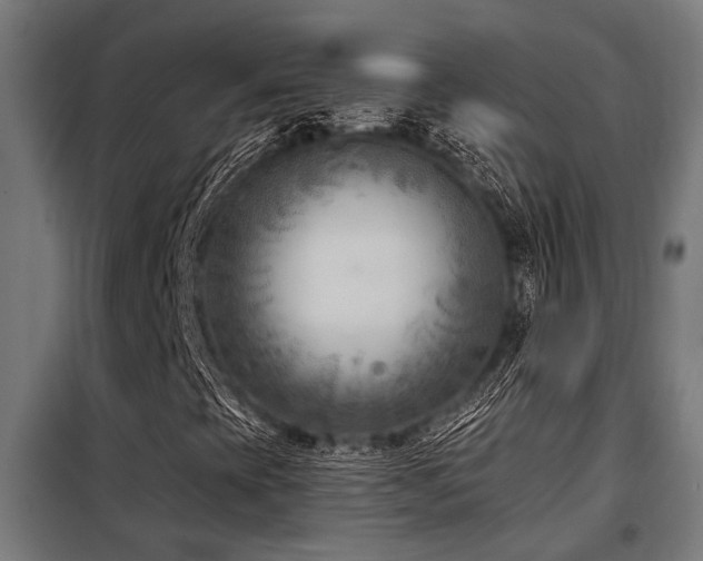 X0000098091393200804041209