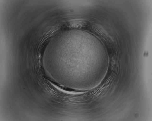 X0000098091394200804041209