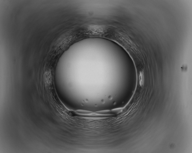 X0000098091395200804041209