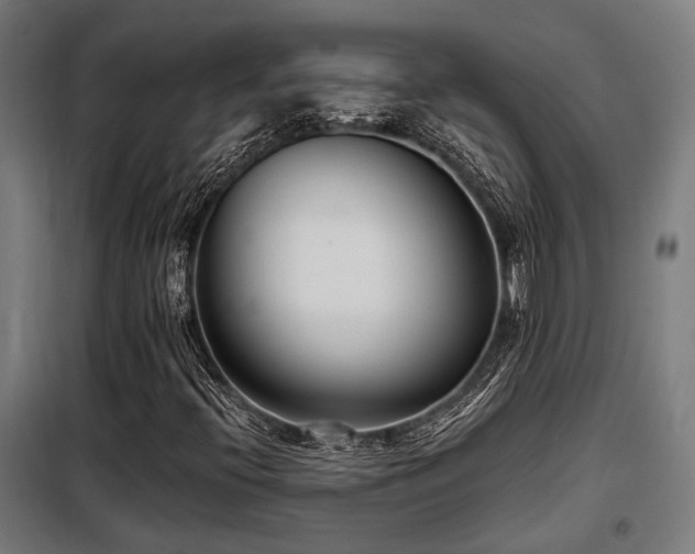 X0000098091396200804041209