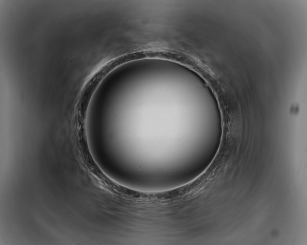 X0000098091400200804041209
