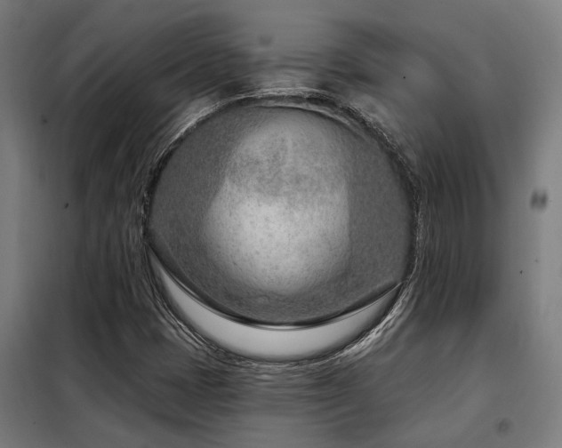X0000098091401200804041209