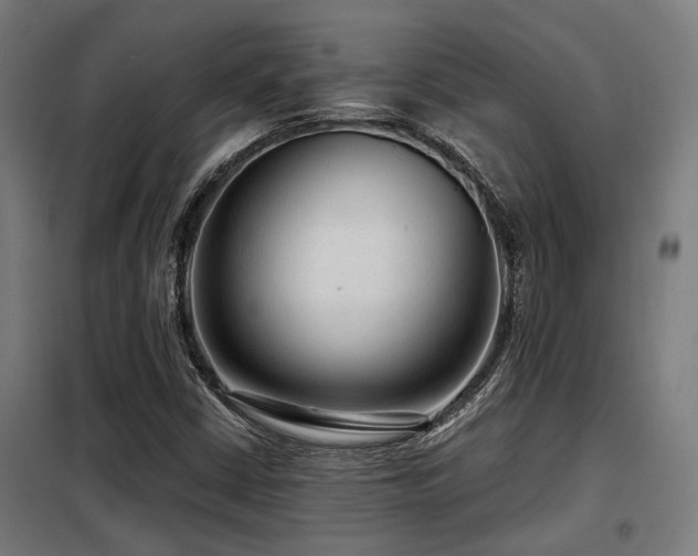 X0000098091402200804041209