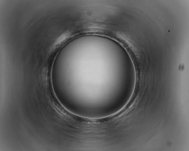 X0000098091403200804041209