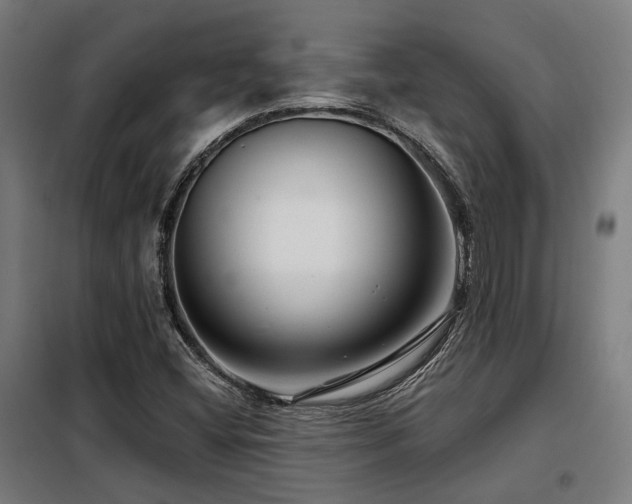 X0000098091404200804041209